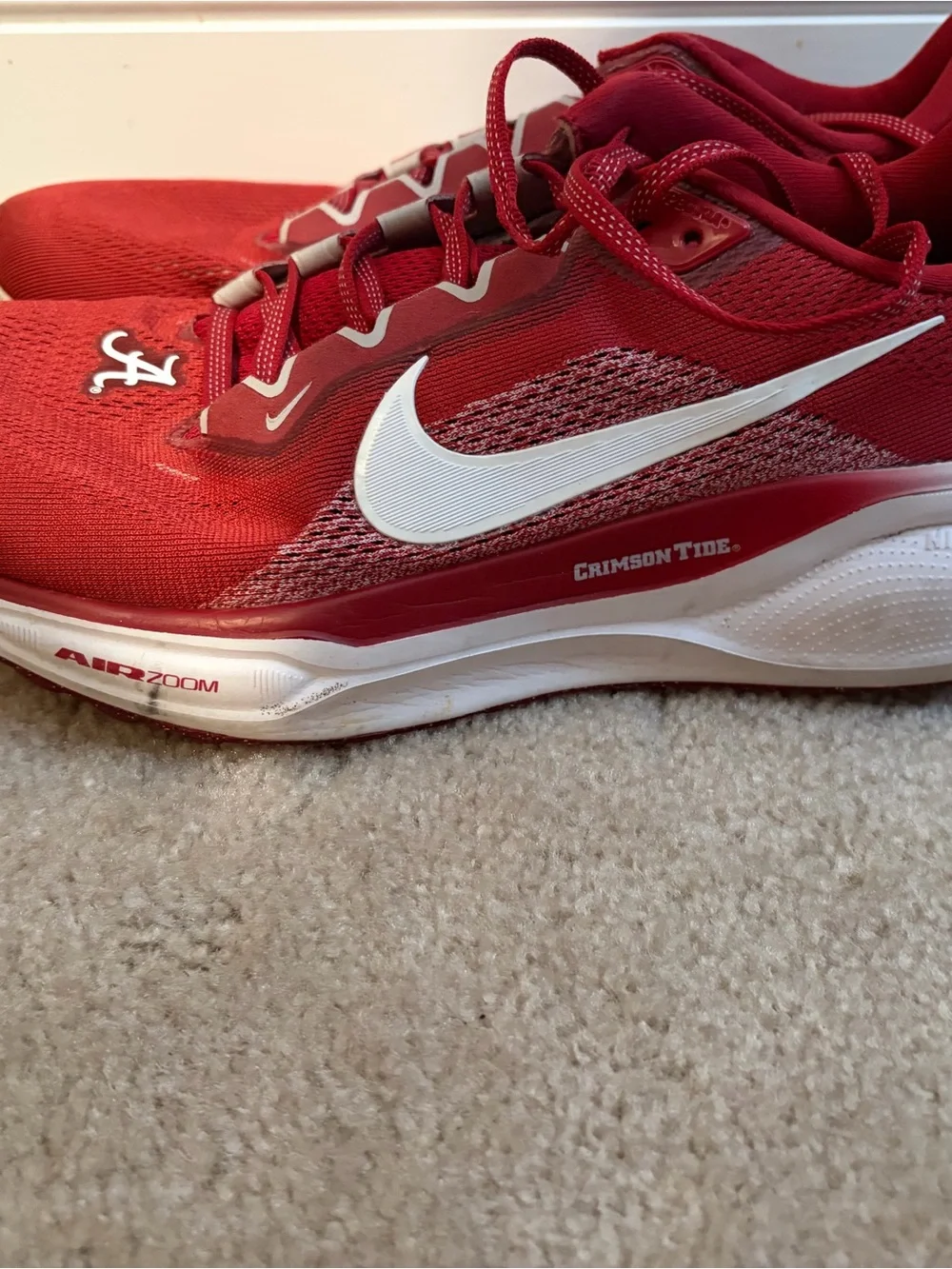 Nike Pegasus 41 Alabama Shoes